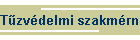 Tzvdelmi szakmrnki