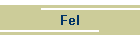 Fel